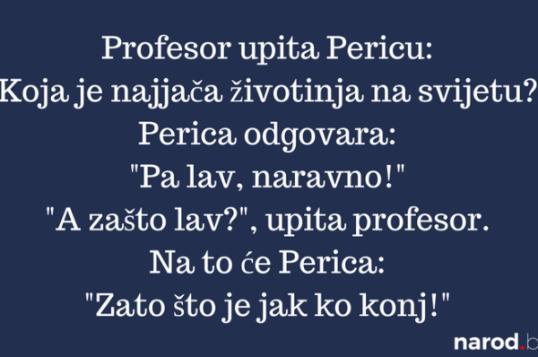 Neko sumnja u našu ekipu, a borimo se za opstanak”: Radnički poziva državne  organe na reakciju 